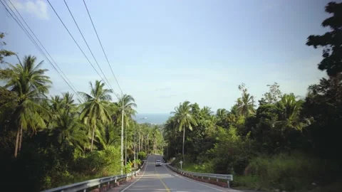 Camera motion along road past tropical forest and lush palms Stock Footage 133125091