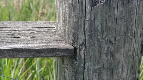 Camera motion over weathered fence  with townscape in distance Stock Footage 135683348