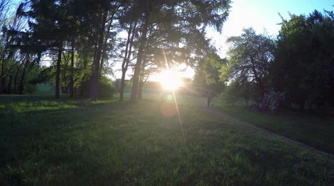 Camera motion in a park where people relaxing at sunset 動画素材 63091909