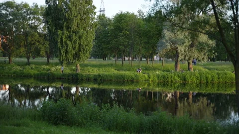 Camera in motion: view of a small lake, green grass around, trees,summer evening 動画素材 201073568
