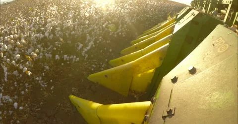 Camera mounted on a cotton picker working in a field during sunset Stock Footage 68708869