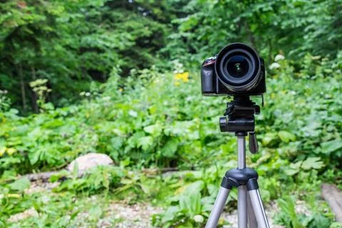 Camera mounted on tripod Stock Photos