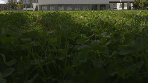 Camera move from bottom up towards the Bauhaus building from the back. Stock Footage 83634153