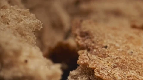 Camera move through breaking homemade bread. Organic food and bakery concept. 스톡 동영상 120193129