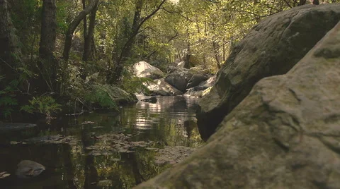 Camera movement along the bed of the stream Stock Footage 43241148