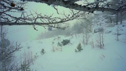 Camera movement along a branch with a view of the cable rail Stock Footage 148376951