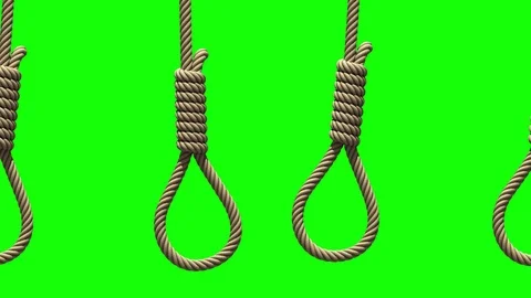 Camera movement along Hangman's nooses on green, seamless loop Stock Footage 112019115