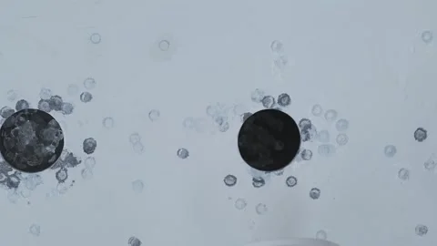 Camera movement along the hitting biathlon targets Vidéo 302158341