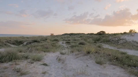 Camera movement along sand dunes with grass at sunset Stock Footage 111218330