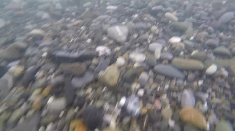 Camera movement along the sea bottom Stock Footage 68618773