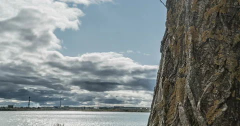 Camera movement along a tree trunk overlooking a cloudy autumn sky, time-lapse Stock Footage 119344160