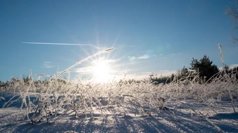Camera movement along a winter meadow covered with snow and hoarfrost, sunny Stock Footage 169972988