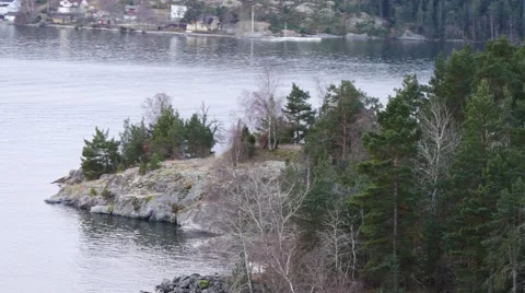 Camera movement around forest in island on baltic sea Stock Footage 60584780