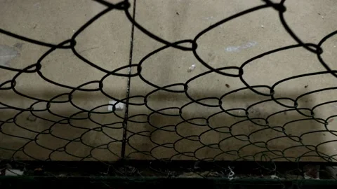 Camera movement from bottom to top along the metal mesh chain-link. Stock Footage 201290724