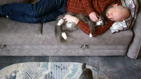 Camera movement from bottom to top, a man dozing on the couch and stroking the Stock Footage 223524845