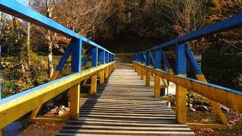 Camera movement on the bridge in the beautiful forest. Stock Footage 86231149