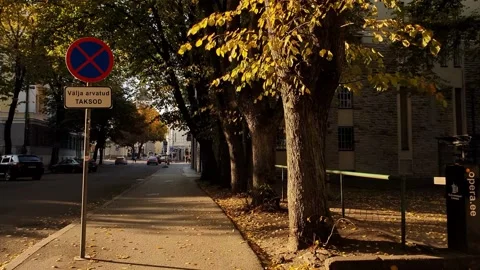 Camera movement down the street in the old town. Beautiful sunset light. Stock Footage 169926725