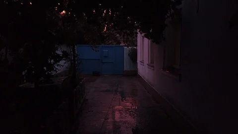 Camera movement. Dusk. Sunset. The sky is lilac. Autumn. Video stock 117432312