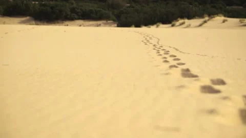 Camera Movement On Footprints In The Sand Stock Footage 150512514