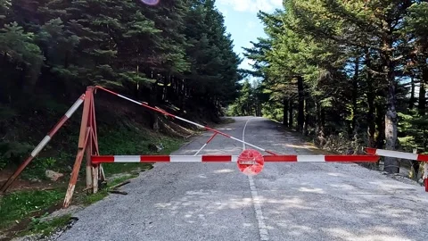 Camera movement on a forest road leads to a dead end. Stock Footage 332539243