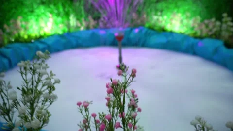 Camera movement fountain Stock Footage 224464465