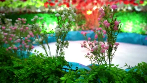 Camera movement fountain Stock Footage 224464558