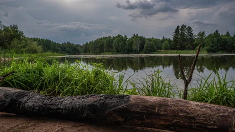 Camera movement - hyperlapse, time lapse, clouds over a beautiful forest lake Stock Footage 266660955