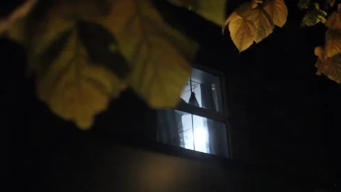 Camera Movement from Illuminated Tree Leaves to Building Window at Night Stock Footage 346818043