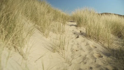 Camera movement over a sand hills overgrown with grass Video stock 107613629