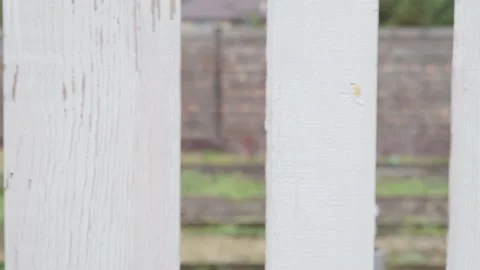Camera movement parallel to white wooden fence close up Stock Footage 152802931