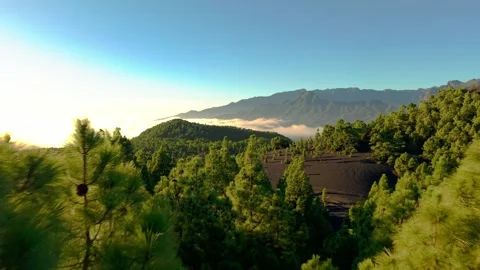 Camera movement reveals a stunning volcanic landscape featuring lush pine trees Stock-Footage 308420528