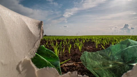 Camera movement through garbage, plastic lying on the field, green sprouts view Stock Footage 240626869