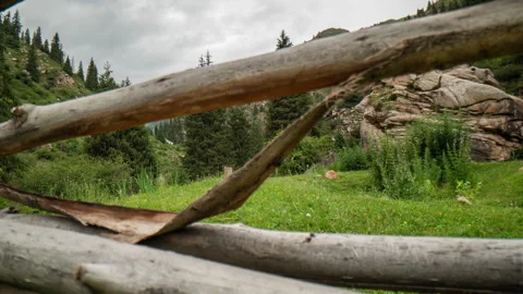 Camera movement through a hedge overlooking a beautiful mountain landscape with Stock Footage 280362320