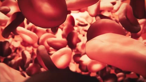 Camera movement through red blood platelets or blood cells Stock-Footage 157954420