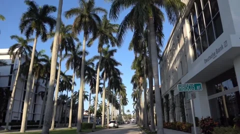 Camera Movement through the royal palm alley at West Palm beach, Florida Vidéo 63392787