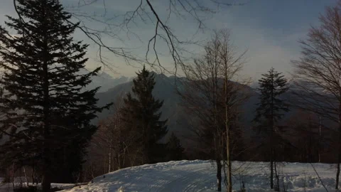 A camera movement through the tree branches of the forest captures a snowy road  Stock Footage 152988203