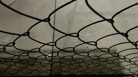 Camera movement from top to bottom along the metal mesh chain-link. Stock Footage 201290796