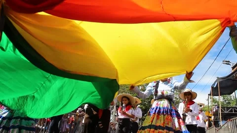 Camera movement under a multi-colored cloth in a parade Stock Footage 279757069