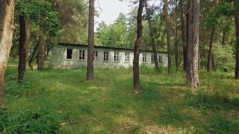 Camera moves to abandoned old building in pine forest, through tree trunks in Vídeos de archivo 78693420