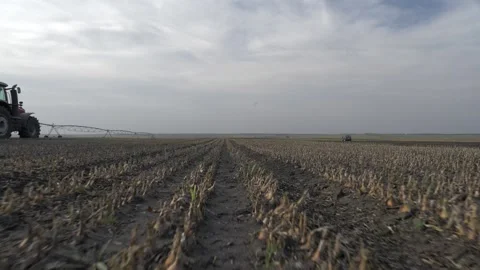 The camera moves across the field with a bow Stock Footage 141798093