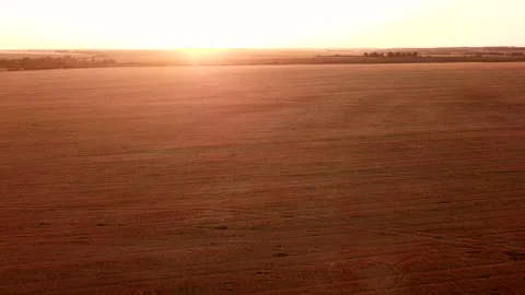 The camera moves across the wheat field to the sun over the ears of wheat during Video stock 157936433