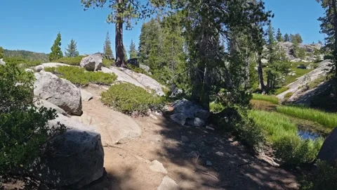 Camera moves along a dirt hiking trail surrounded by granite rocks and pine tree Stock Footage 346272078
