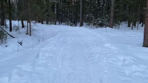 The camera moves along a forest path near the village Stock Footage 172093670