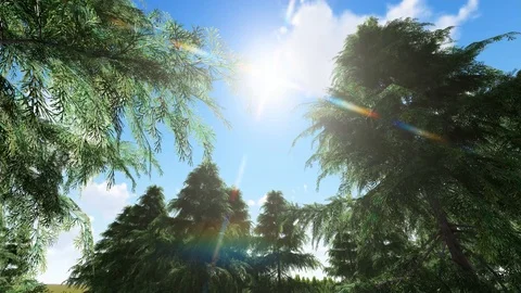 Camera moves along green moss between trees, 3D Rendering Stock Footage 120393239