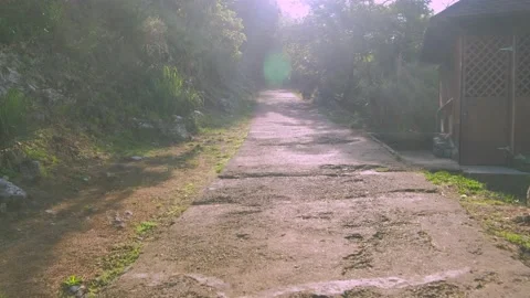 The camera moves along a mountain trail Stock-Footage 206629376