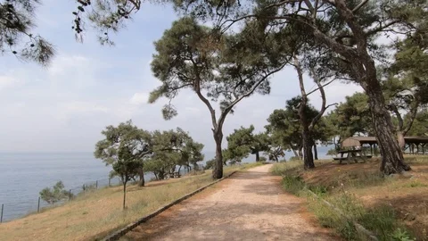 The camera moves along a neat path in the Park and shows beautiful landscapes Stock Footage 109199425