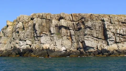 The camera moves along one of the capes of Snake Island, the coast is not far Video stock 252214272