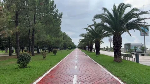 Camera moves along red bicycle path on waterfront of Batumi. Sidewalk Video stock 269546531