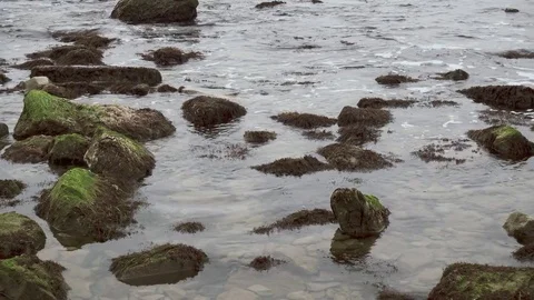 Camera moves along the sea rocks Stock Footage 82423640