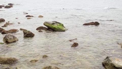 Camera moves along the stony shore Stock-Footage 82528530